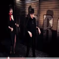 STAGE TUBE: Liza Minnelli Meets Meow Meow & 'The Umbrellas of Cherbourg' Company in… Video